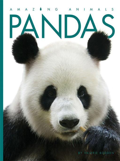 Cover image for Pandas